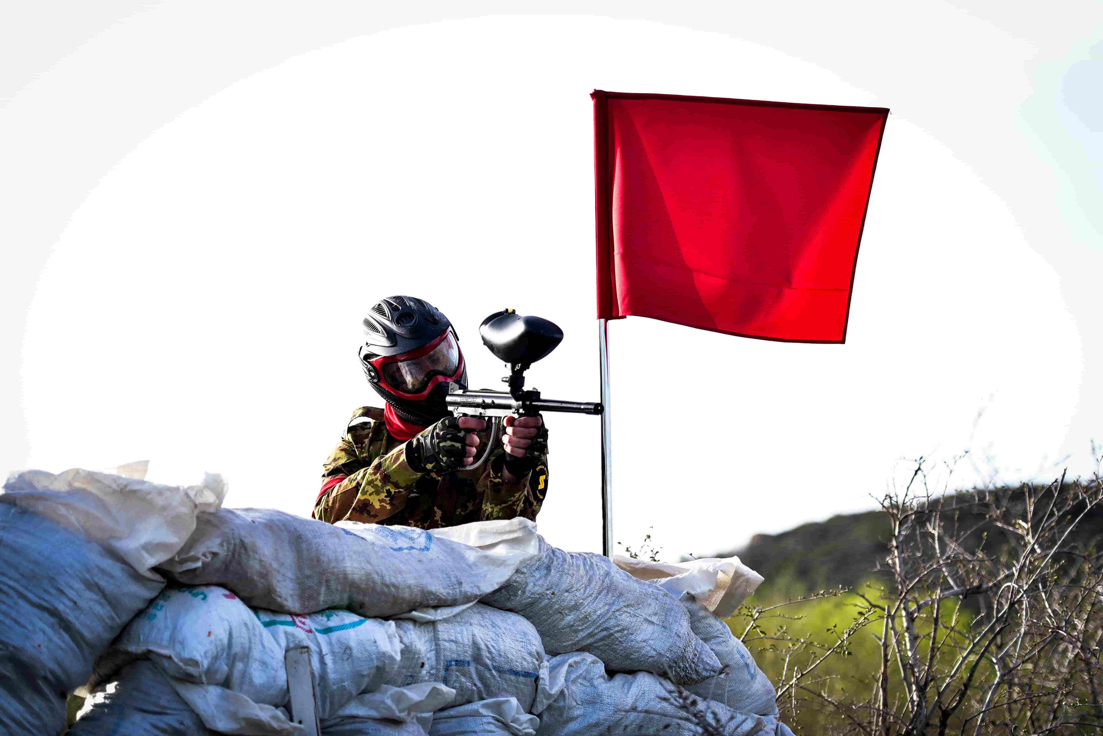 Flag game image